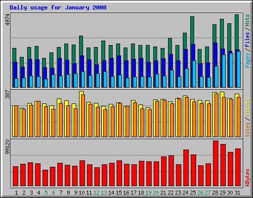 Daily usage for January 2008