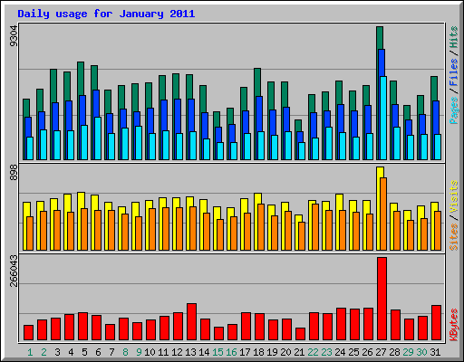 Daily usage for January 2011