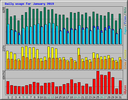 Daily usage for January 2019