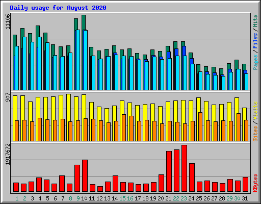 Daily usage for August 2020
