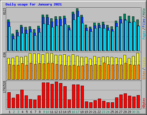 Daily usage for January 2021