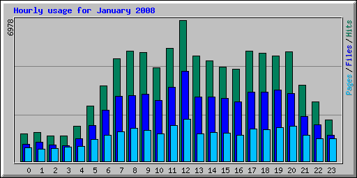 Hourly usage for January 2008