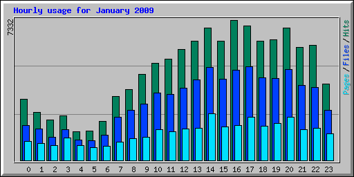Hourly usage for January 2009