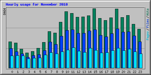 Hourly usage for November 2010