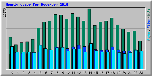 Hourly usage for November 2018