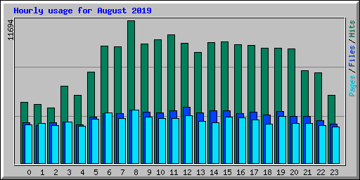 Hourly usage for August 2019