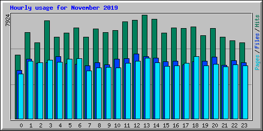 Hourly usage for November 2019