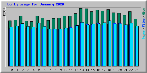 Hourly usage for January 2020