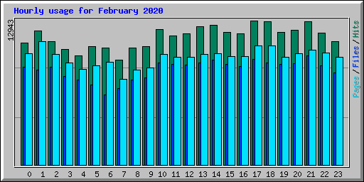 Hourly usage for February 2020