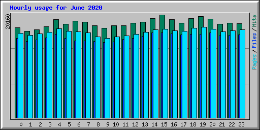 Hourly usage for June 2020