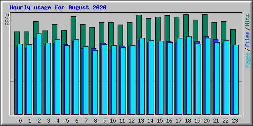 Hourly usage for August 2020