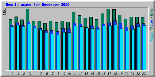 Hourly usage for November 2020