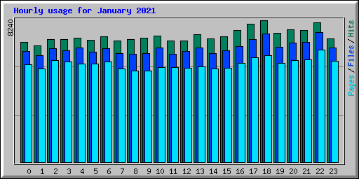 Hourly usage for January 2021