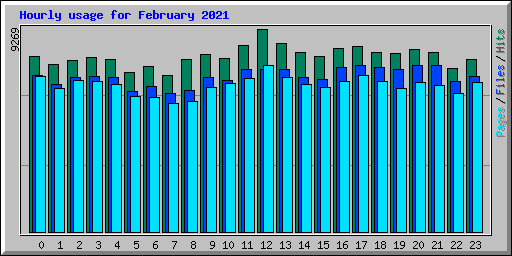 Hourly usage for February 2021