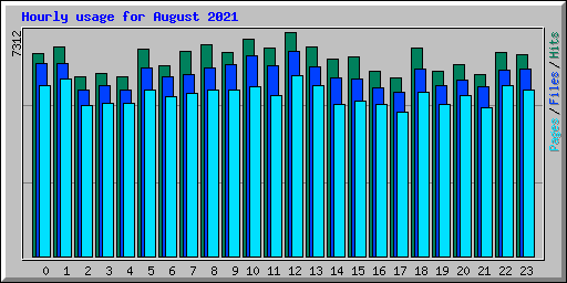 Hourly usage for August 2021